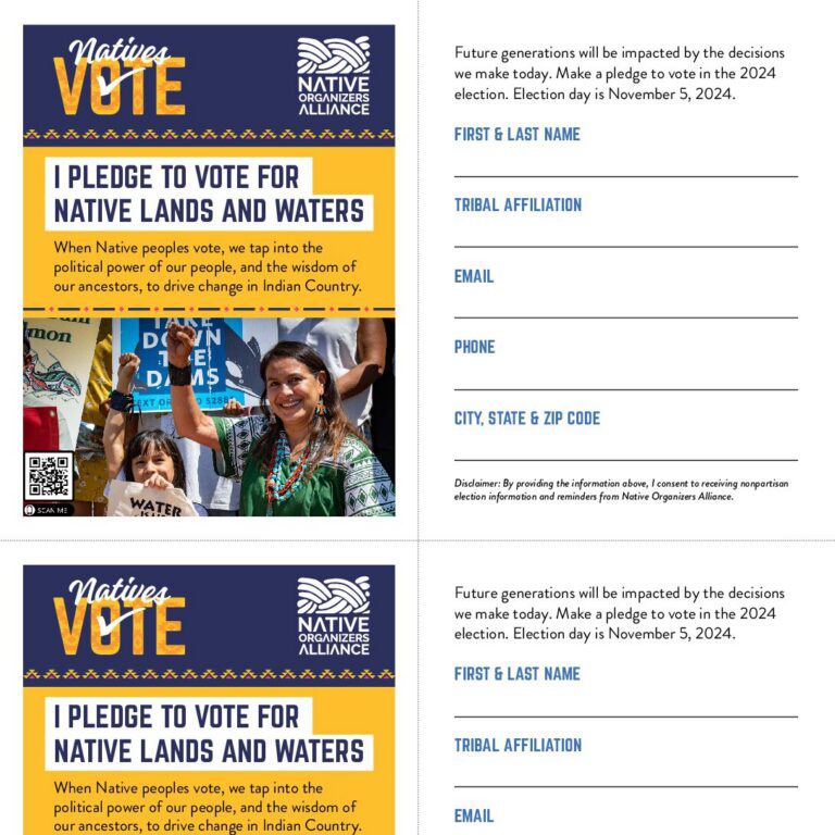 Noa Voterspledgecard Thumbnail