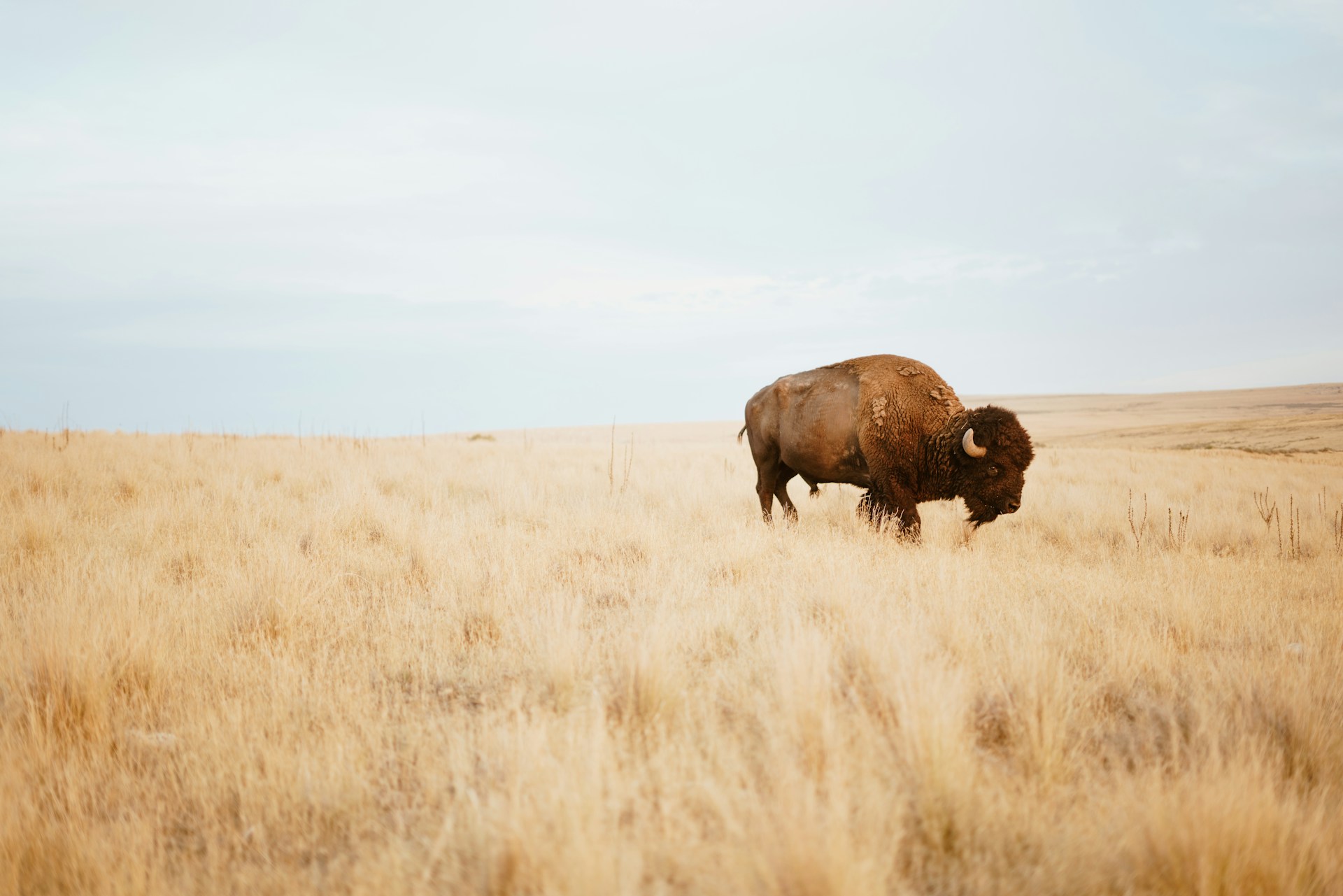 Bryce Olsen 4cu9 Ba8qoa Unsplash (1)